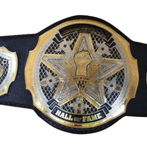 Cinturón de Campeonato del Salón de la Fama, Diseño Personalizable en Negro y Dorado, Título de Lucha Libre Premium, Artículo de Colección - Product Image 2