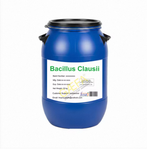 Polvo de Bacillus Clausii de la Mejor Calidad en su Zona de Origen - Product Image 3