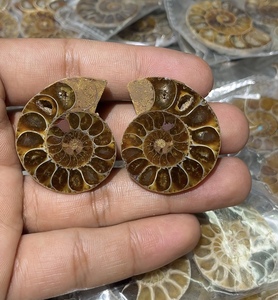 Pierre précieuse naturelle en vrac, forme mixte, cabochon, en ammonite fossile, pour la fabrication de bijoux, spirale marron unique, pierre polie - Product Image 6