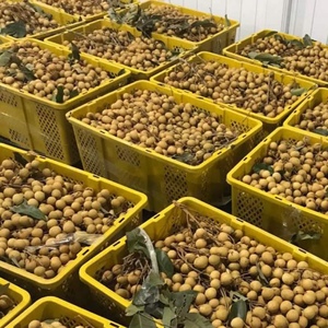black longan, black longan Suppliers and Manufacturers at Alibaba.com