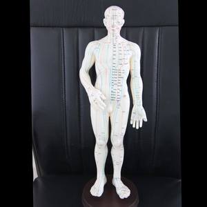 Y Tế Khoa Học Giải Phẫu Mô Hình 26Cm Con Người Châm Cứu Mô Hình Cho Các Trường Học Hoặc Bệnh Viện Giáo Dục Mô Hình - Product Image 3