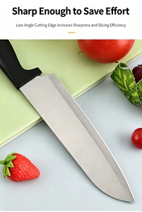 Inventory 14-Pcs Kitchen Knife Set with Block Stainless Steel Chef Knives Scissors and Sharpening <b>Rod</b> Ergonomic Non-Slip Handle - Product Image 6
