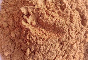 Exporter of Mimosa Pudica Powder - Product Image 4