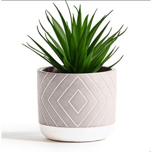 Planta Artificial Pequeña de 8 Pulgadas Hecha a Mano en Maceta de Cemento, Decoración de Escritorio Estilo Rústico, Plantas Artificiales en Macetas - Product Image 1