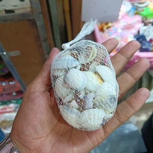 เปลือกหอยทะเลธรรมชาติแบบเดี่ยว แพ็คตกแต่งเปลือกหอยทะเลสำหรับงานฝีมือ ตกแต่งตู้ปลา แจกัน ของตกแต่งบ้าน ขัดเงาอย่างเป็นธรรมชาติ - Product Image 1