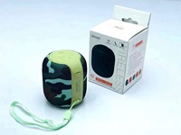 Radio FM sans fil WS305, Boombox portable avec sangle, Subwoofer puissant, Lecteur audio d'urgence pour camping en extérieur, Dispositif en gros