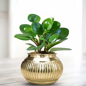 Vase de table fait main, design côtelé, bol décoratif traditionnel 17cm x 12cm - Product Image 2