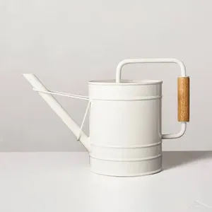 Arrosoir en métal robuste pour l'entretien des plantes d'extérieur et d'intérieur, avec une construction durable et une poignée confortable - Product Image 1