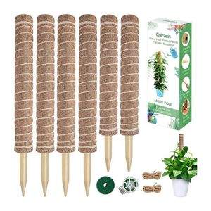 Poteau de soutien en fibre de coco écologique de haute qualité pour plantes d'intérieur, favorisant l'humidification - Product Image 1
