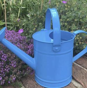 Aspersor de Agua Personalizado Azul con Nombre, Ideal para Plantas de Interior y Exterior, Jardín, Balcón, Decorativo y como Regalo Personalizado - Product Image 2