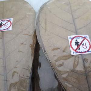 Productos para Mascotas de Almendras Indias de Primera Calidad al por Mayor, 15 Hojas de Tamaño 10 a 15 cm para Limpieza de Peces - Product Image 2