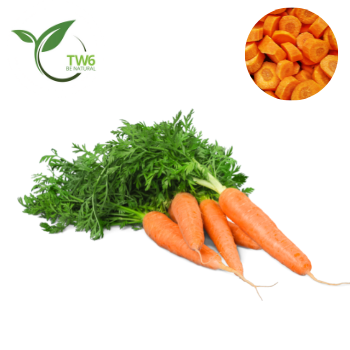 Свежая морковка высшего качества из Вьетнама TW6