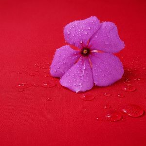 Mantel Rectangular Rojo Sólido 100% Algodón, Lavable, para Mesa de Comedor, para Hotel, Restaurante, Bodas y Uso Doméstico - Product Image 5