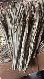 Feuilles de palmier séchées naturelles, frondes de palmier séchées au soleil, matériau de palmier non traité, feuilles de palmier préservées - Product Image 3