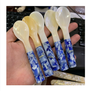 Cuillère personnalisée en nacre pour présentation de bijoux ou service alimentaire, cuillère en coquillage naturel, cuillère en nacre, fabricant direct - Product Image 1