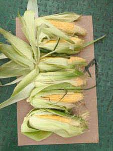 Exportador de Vietnam de cacahuetes congelados hervidos con cáscara con embalaje de etiqueta privada listo para venta al por menor y servicio de alimentos - Product Image 5