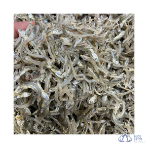 มีจำหน่าย |   ปลาแอนโชวี่แห้งสะอาด ขนาด 3-5 ซม. 6-9 ซม. คุณภาพสูง อาหารทะเล จำหน่ายจำนวนมาก สำหรับทำซุป จากเวียดนาม - Product Image 1