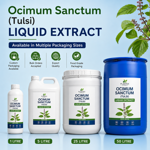 Extrait liquide oral d'Ocimum Sanctum Tulsi, qualité alimentaire, supplément à base de plantes, extrait végétal pour l'agriculture et la vente en gros - Product Image 1