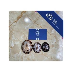 [DISPONIBLE] |   Conchas de Limpet para Producción Artesanal, Aplicaciones Decorativas y Distribución al por Mayor en Vietnam - Product Image 1