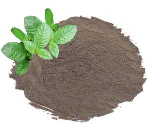 Poudre de gelée d'herbe du Vietnam pour desserts et boissons, ingrédient pour bubble tea, boisson aux herbes, fournitures de cuisine - Product Image 1