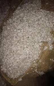 Farine de coton pour l'alimentation des poissons, des chevaux et des bovins - Product Image 2