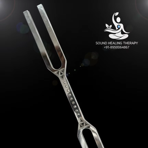 Diapason double fréquence avec marteau 432 Hz et 288 Hz, fournitures de laboratoire - Product Image 1