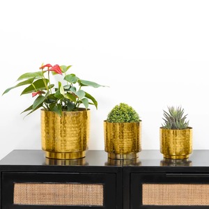 Maceta Metálica para Plantas de Interior y Exterior, Ideal para Hogar, Jardín y Oficina, Disponible a Buen Precio - Product Image 2
