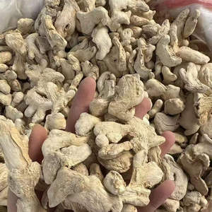 Dried Sliced <b>Ginger</b> & Turmeric Candy with <b>Mint</b> Leaves Natural Sweet Snack High Quality EXPAD Vietnam for Tea or Dessert - Product Image 5