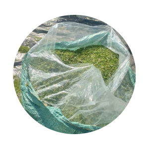 POLVO DE ALGAS VERDE DE EXPORTACIÓN CALIENTE DE VIETNAM/POTENCIA DE ALGAS VERDE DE EXPORTACIÓN CALIENTE MEJOR PRECIO/Sra. Thi - Product Image 4