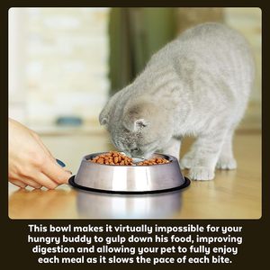 Wholesale Eco-Friendly Stainless Steel Puppy Bowls Non-Slip Bottom Dog <b>Cat</b> <b>Feeders</b> Dish Pet Feeding Water Slow Food Bowl - Product Image 3