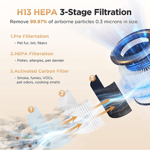 Filtro a Carbone Attivo a Correnti di Eddy di Grado 2024L, Purificatore di Fumo e Particelle da 0,3 Micron, Depuratore d'Aria per Uso Domestico 120m² - Product Image 5