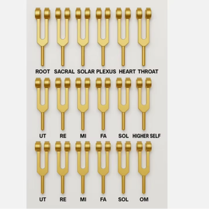 Diapasón de Sanación de Alta Calidad Mars Chakra 9 Weighted y Solfeggio 9 Weighted (Dorado) – 18 Notas - Product Image 1