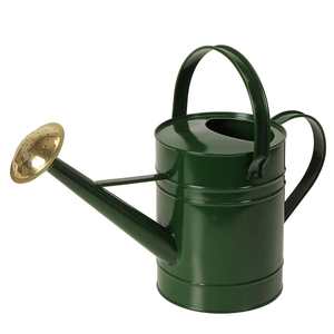 Regadera de Metal Hecha a Mano con Forma Personalizada, Regadera de Diseño Clásica y Elegante, Regadera de Metal Galvanizado al por Mayor - Product Image 6