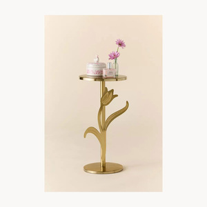 Table d'appoint moderne en métal de luxe, design élégant et personnalisé, mobilier haut de gamme pour la maison, qualité d'exportation. - Product Image 1