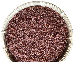 红米-南湄公河大米厂直接出口欧洲市场的优质大米