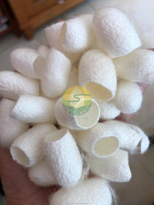 Cocon de Soie de Mûrier 100% Naturel, Fibre de Soie Brute, Emballage Sous Vide, pour Nettoyage du Visage et Filage, Origine Vietnam - Product Image 3