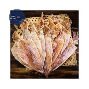 Calamar séché de qualité supérieure, taille A, entier, séché au soleil, pour importateurs de fruits de mer - Meilleures ventes - Product Image 1