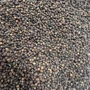 PRIX LE PLUS BAS pour le POIVRE NOIR DU VIETNAM - MEILLEURE PERIODE POUR L'ACTIVITÉ COMMERCIALE - Product Image 6