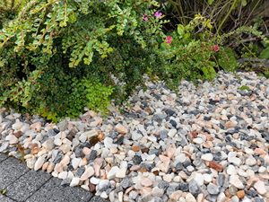 Galets de marbre naturel, pierres concassées pour la décoration de villas, cafés, jardins et aménagements paysagers - Product Image 6