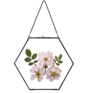 Nouveau design, cadre photo suspendu en laiton et verre avec chaîne, personnalisable, pour la décoration rustique du salon à la maison - Product Image 3