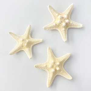 Étoiles de mer naturelles pour la création artisanale, lot d'étoiles de mer au prix le plus bas, décoration, étoile de mer, coquillage - Product Image 1