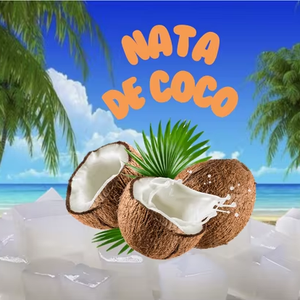 HOT HOT 2026 | Nata de coco premium de Vietnam – Gelatina de coco lista para consumir – Exportación a granel para la industria alimentaria - Product Image 1