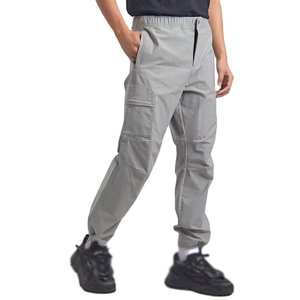 Men Gray Elastic Waist Cargo Pants Multiple Pockets Breathable Quick Dry Lightweight Casual Joggers Autumn Wear - Product Image 1