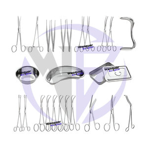 Offre exceptionnelle à faible MOQ : Kit d'instruments de rhinoplastie en acier inoxydable de 25 pièces avec plateau en plastique, outils Wenquar disponibles - Product Image 2