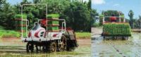 Transplanteuse de riz numérique autoportée haute précision 6 et 8 rangs avec moteur 20,9 CV, boîte de vitesses et roulements, 5 plants/min, 846 kg, Inde