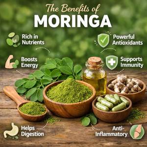 2026 Top Selling 100% Pure Moringa Leaf Powder Rich <b>Vitamins</b>, Minerals & Antioxidants Food Grade Moringa Tea Powder from India - Product Image 4