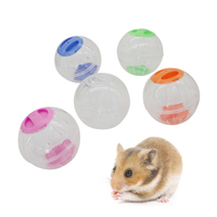 Mainan Bola Jogging Tikus Plastik Kecil 4 Warna untuk Hewan Peliharaan, Bola Latihan Hamster Transparan dan Bernapas Tanpa Braket
