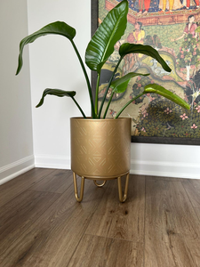 Pot de fleurs en métal texturé avec support en or clair mat, élégant porte-fleurs décoratif, présentoir moderne pour plantes d'intérieur - Product Image 2
