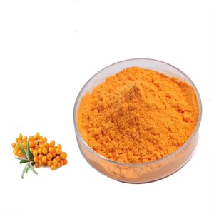 Poudre d'argousier finement transformée de qualité alimentaire, idéale pour les aliments naturels et la nutrition - Product Image 1
