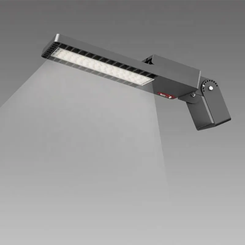 Buon lampione 100w buon prezzo alluminio Led lampione